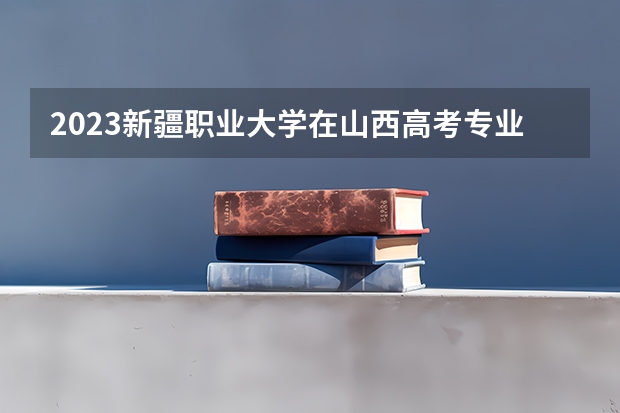 2023新疆职业大学在山西高考专业招生计划人数