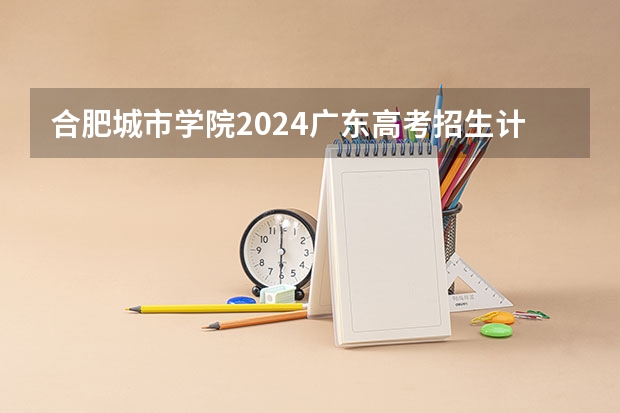 合肥城市学院2024广东高考招生计划详解