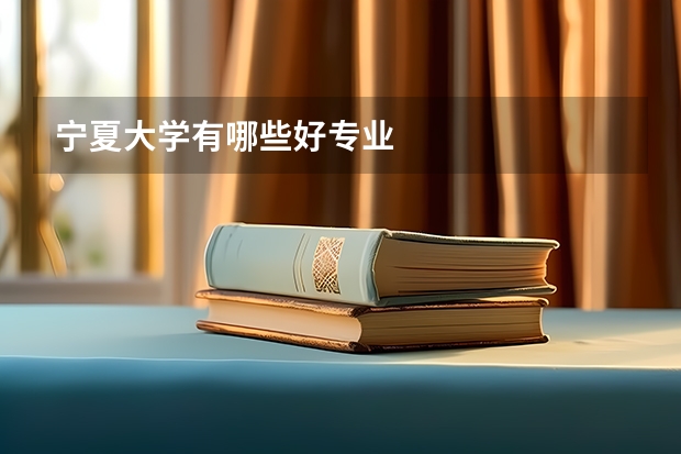 宁夏大学有哪些好专业