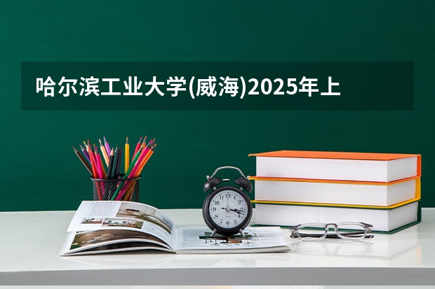 哈尔滨工业大学(威海)2025年上海高考招生计划预测