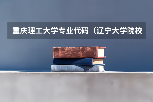 重庆理工大学专业代码（辽宁大学院校代码和专业代码）