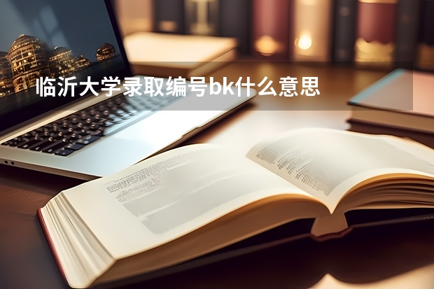 临沂大学录取编号bk什么意思