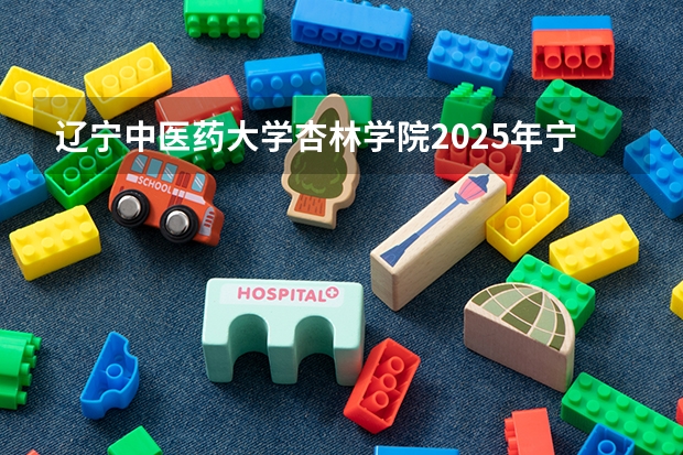 辽宁中医药大学杏林学院2025年宁夏高考招生计划预测