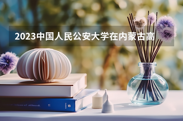 2023中国人民公安大学在内蒙古高考专业招生计划人数
