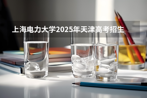 上海电力大学2025年天津高考招生计划预测