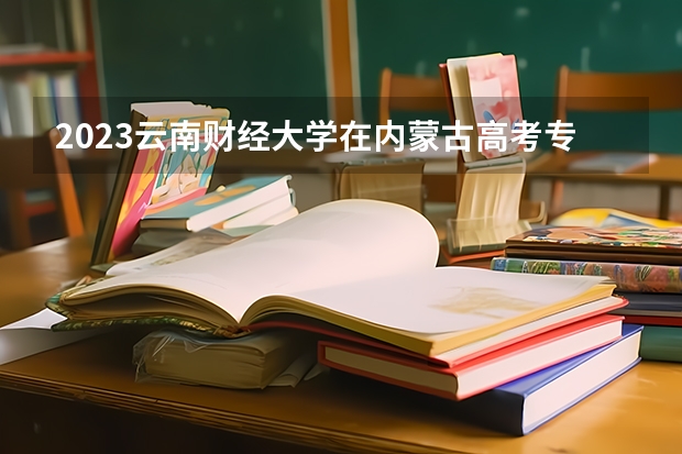 2023云南财经大学在内蒙古高考专业招生计划人数