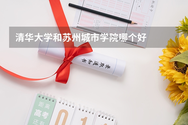 清华大学和苏州城市学院哪个好