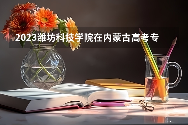 2023潍坊科技学院在内蒙古高考专业招生计划人数