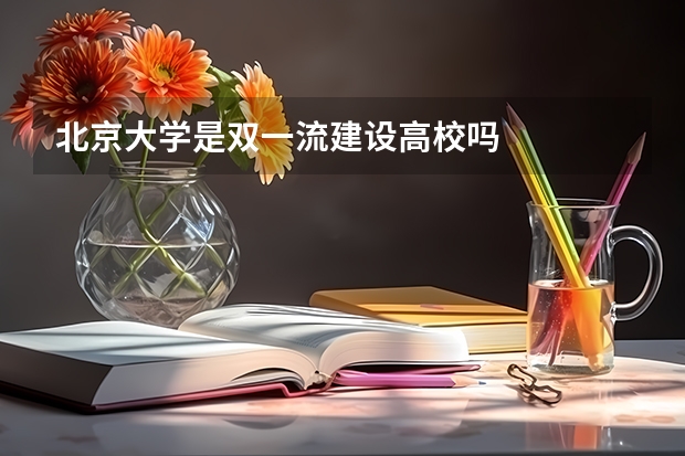 北京大学是双一流建设高校吗