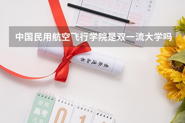 中国民用航空飞行学院是双一流大学吗