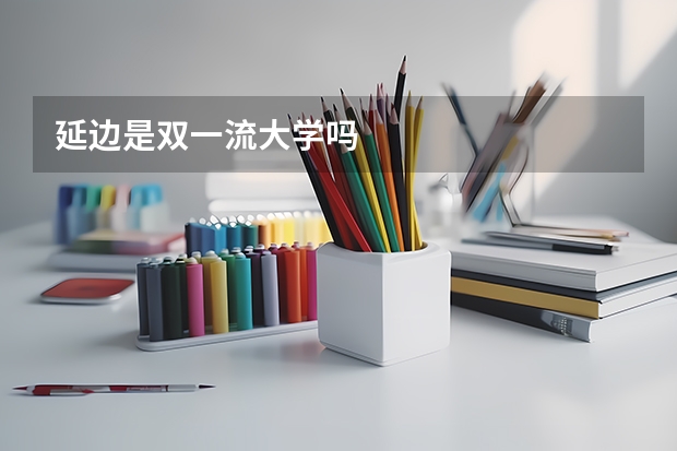 延边是双一流大学吗