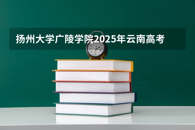 扬州大学广陵学院2025年云南高考招生计划预测