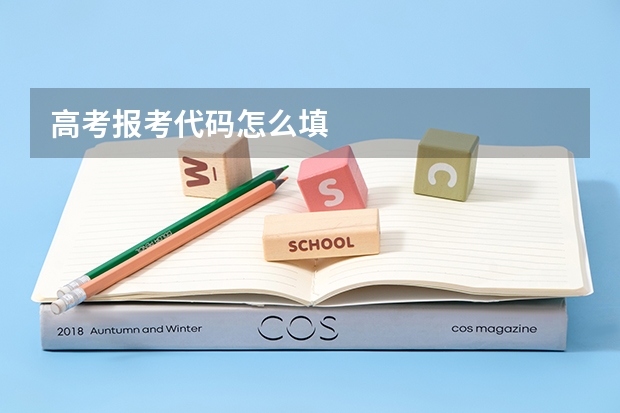 高考报考代码怎么填