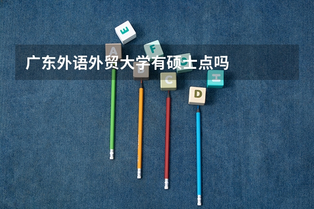 广东外语外贸大学有硕士点吗