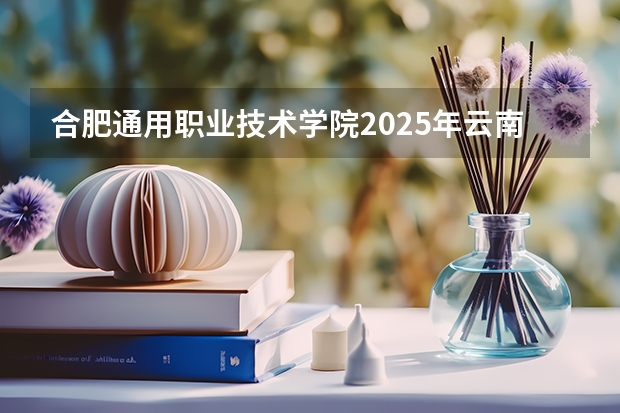 合肥通用职业技术学院2025年云南高考招生计划预测