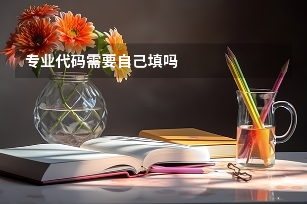 专业代码需要自己填吗