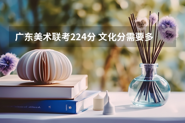 广东美术联考224分 文化分需要多少才能录取深圳大学？
