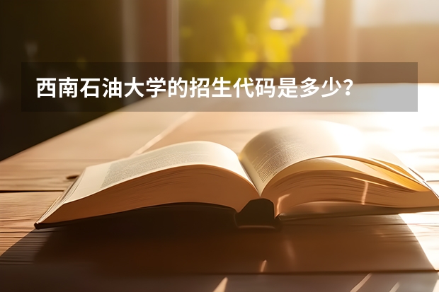 西南石油大学的招生代码是多少？