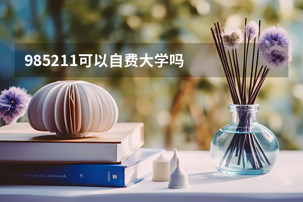 985211可以自费大学吗