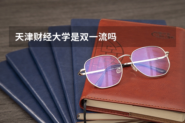 天津财经大学是双一流吗