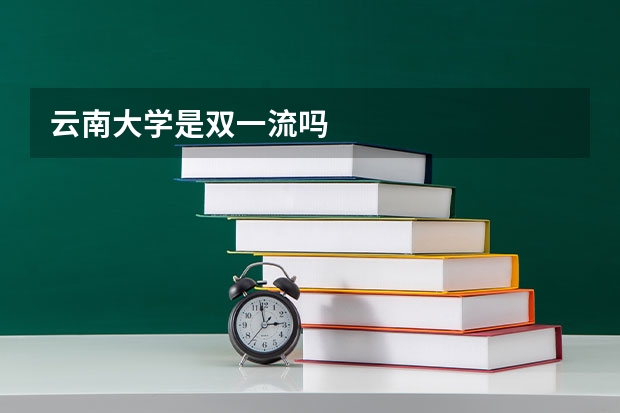 云南大学是双一流吗