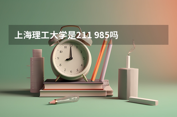 上海理工大学是211 985吗