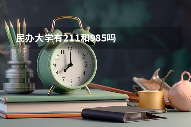 民办大学有211和985吗
