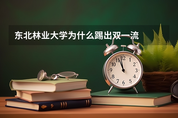 东北林业大学为什么踢出双一流