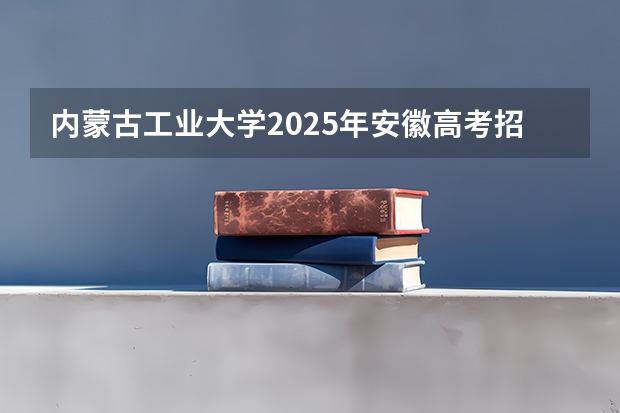 内蒙古工业大学2025年安徽高考招生计划预测
