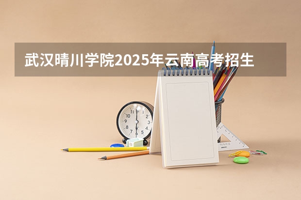 武汉晴川学院2025年云南高考招生计划预测