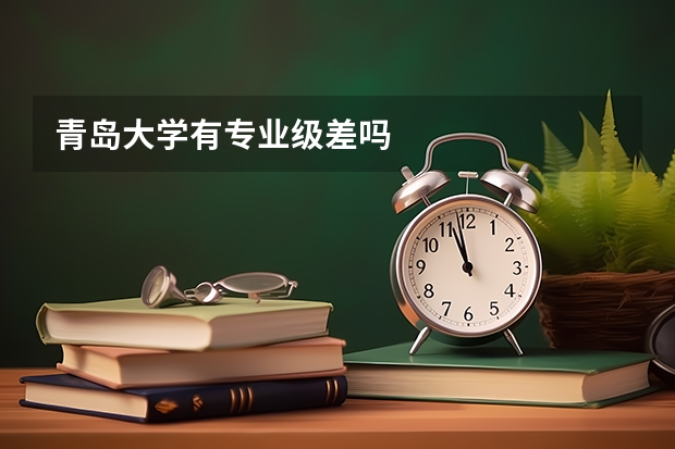 青岛大学有专业级差吗