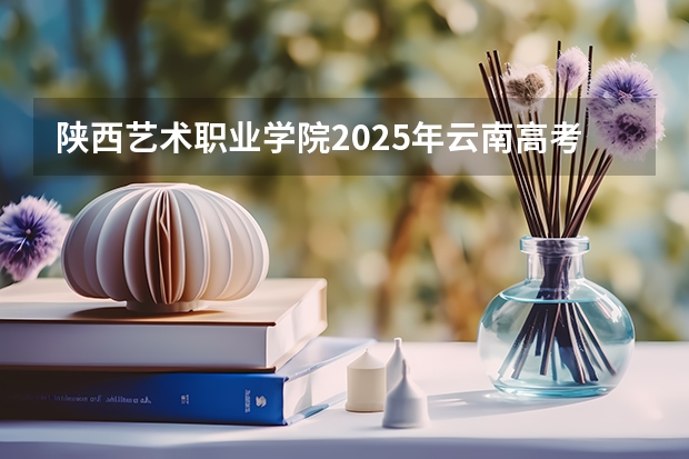陕西艺术职业学院2025年云南高考招生计划预测