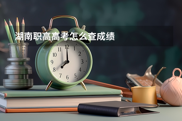 湖南职高高考怎么查成绩