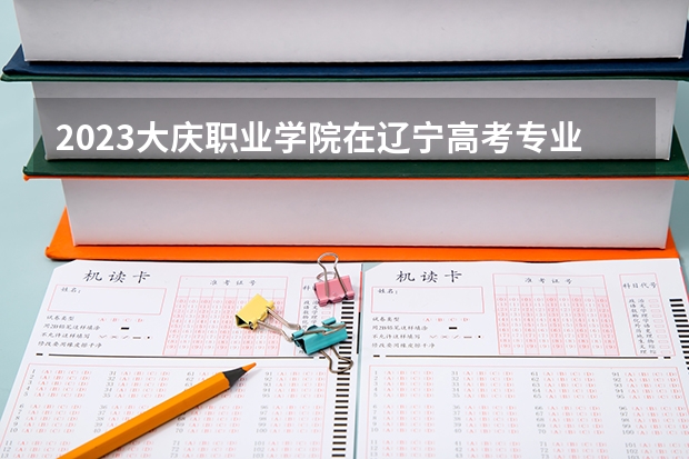 2023大庆职业学院在辽宁高考专业招生计划人数