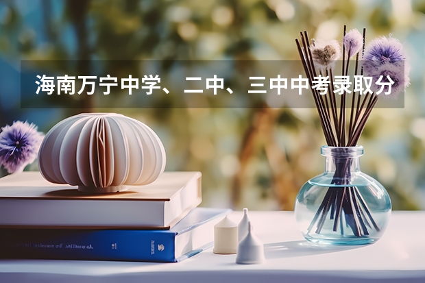 海南万宁中学、二中、三中中考录取分数线是多少