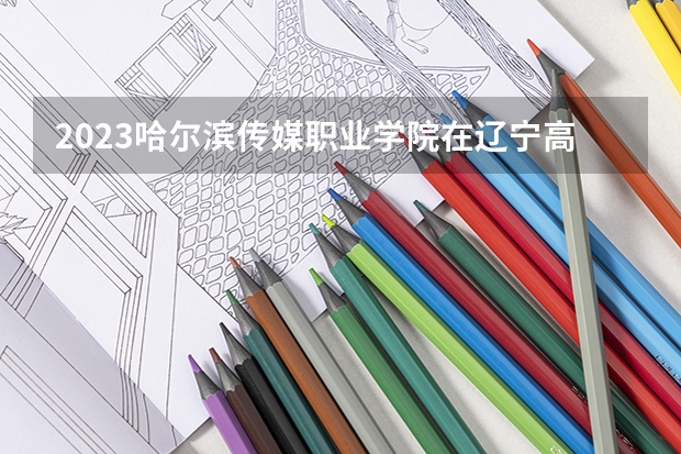 2023哈尔滨传媒职业学院在辽宁高考专业招生计划人数