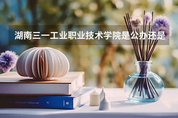 湖南三一工业职业技术学院是公办还是民办院校