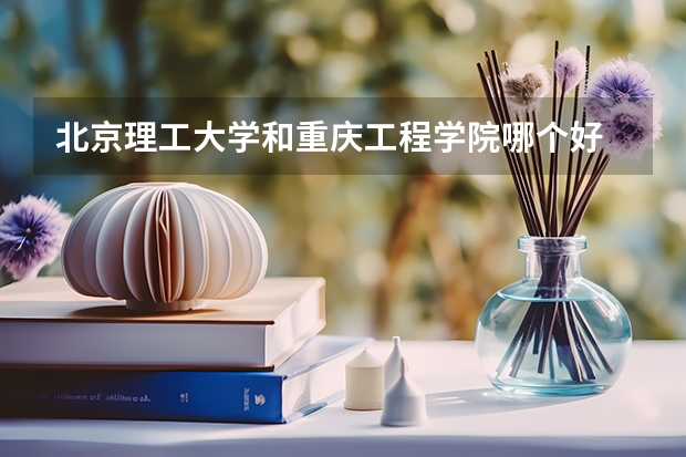 北京理工大学和重庆工程学院哪个好