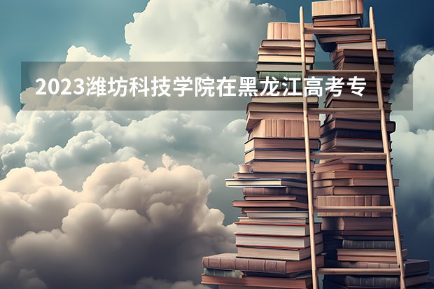 2023潍坊科技学院在黑龙江高考专业招生计划人数