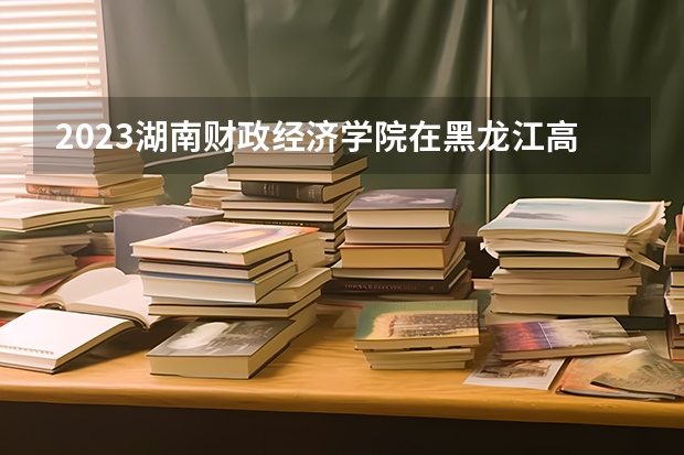 2023湖南财政经济学院在黑龙江高考专业招生计划人数