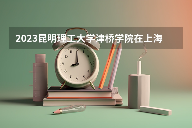 2023昆明理工大学津桥学院在上海高考专业招生计划人数