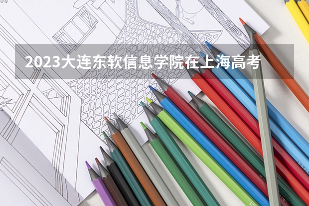 2023大连东软信息学院在上海高考专业招生计划人数