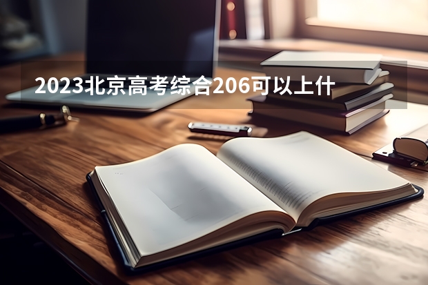 2023北京高考综合206可以上什么大学