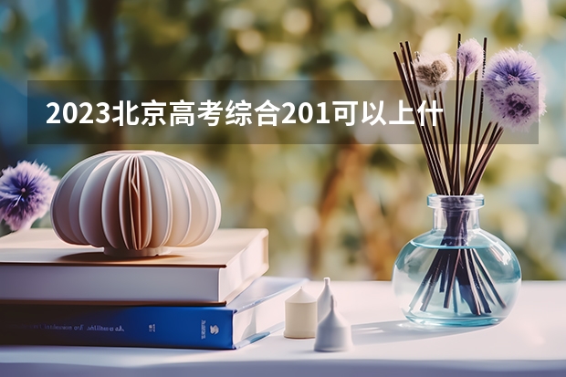 2023北京高考综合201可以上什么大学