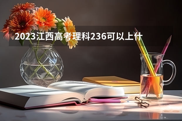 2023江西高考理科236可以上什么大学