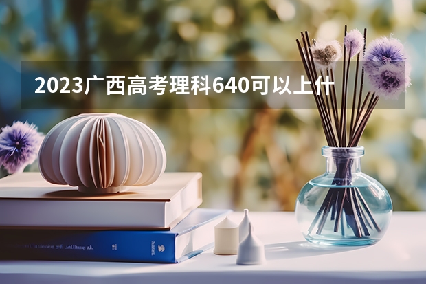 2023广西高考理科640可以上什么大学