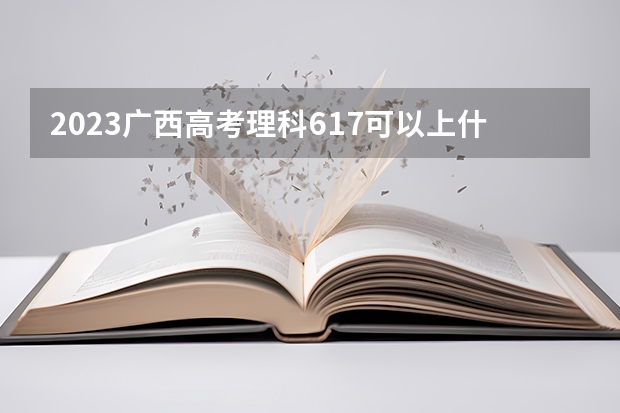 2023广西高考理科617可以上什么大学