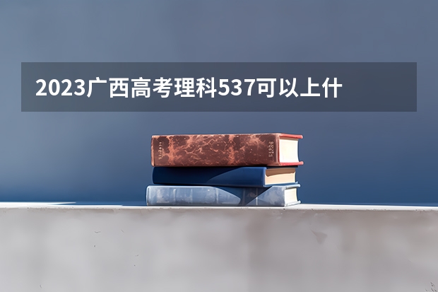 2023广西高考理科537可以上什么大学