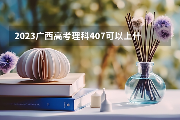 2023广西高考理科407可以上什么大学