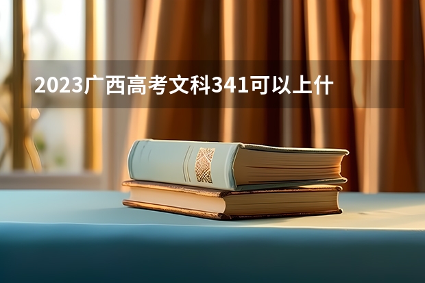 2023广西高考文科341可以上什么大学